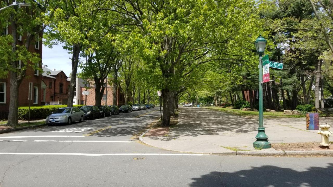 Lovely 2Br Apartment By Wooster Square- Great Neighborhood New Haven Kültér fotó